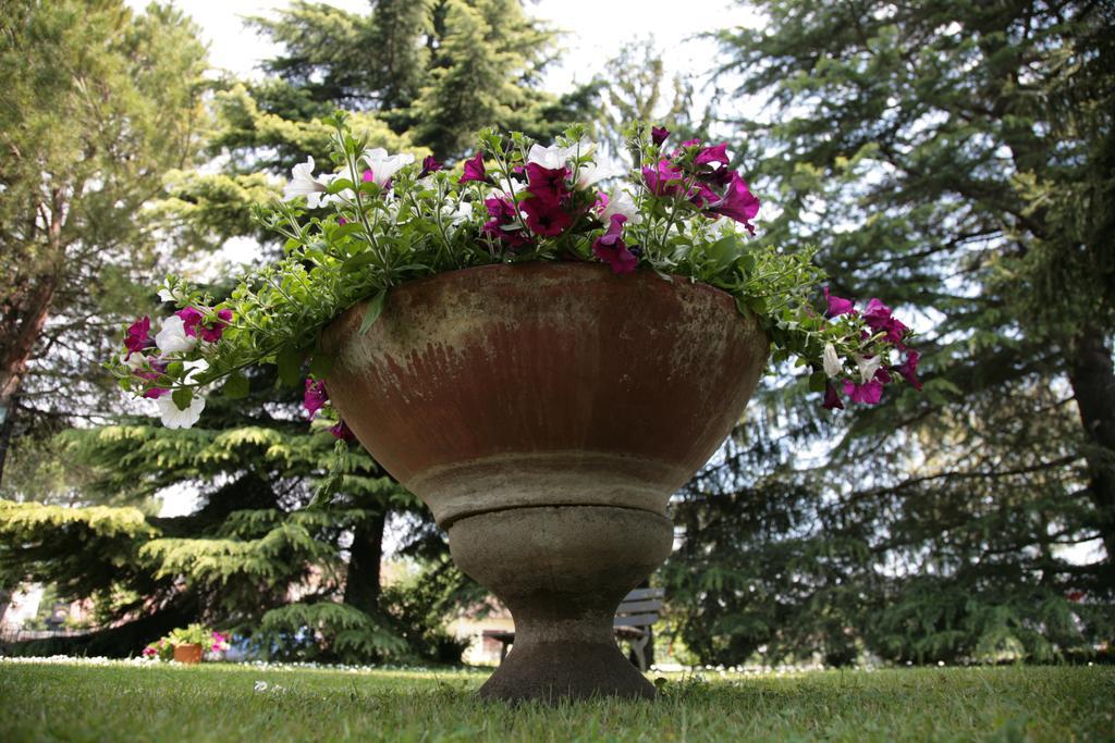 Hotel Bassetto Ferentino Exterior foto